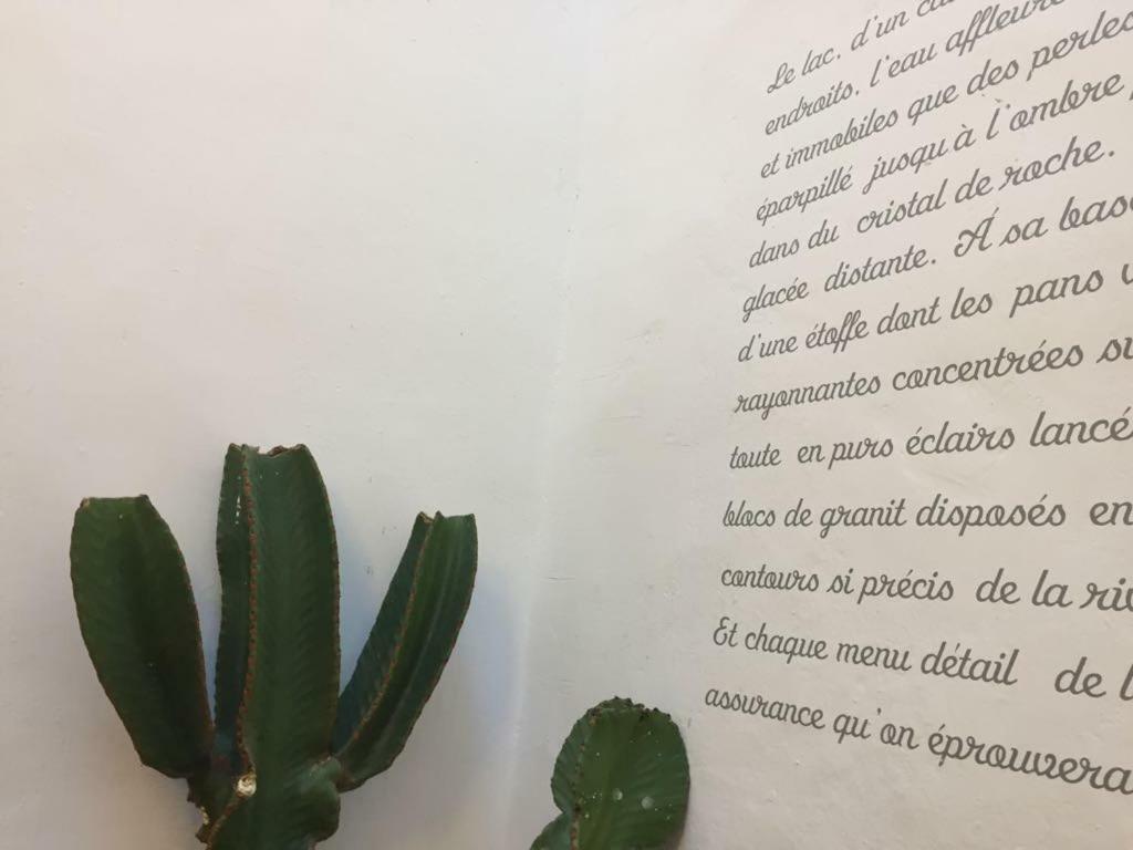 لوغرونيو Casa Malvasia المظهر الخارجي الصورة